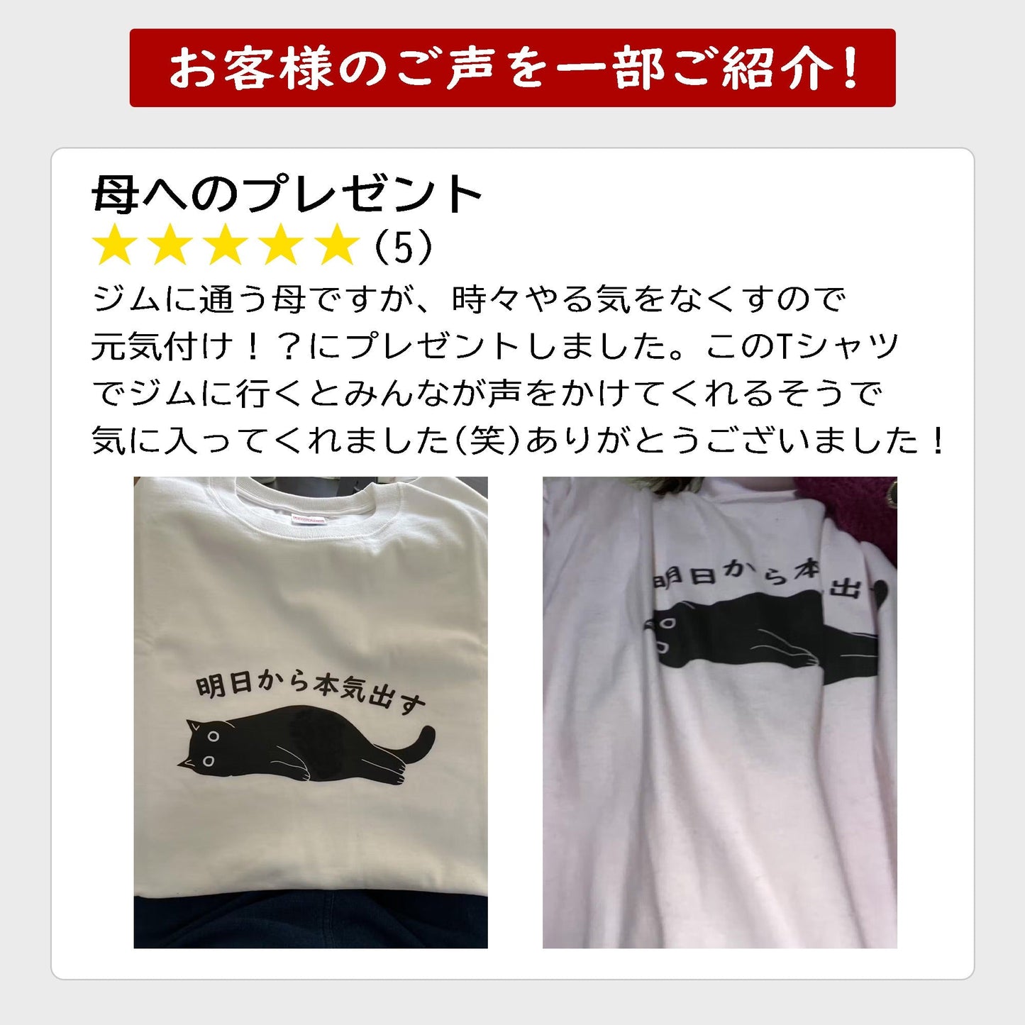 犬 tシャツ 犬イラスト プードル犬　明日から本気出す ｜アダルト&キッズサイズ.