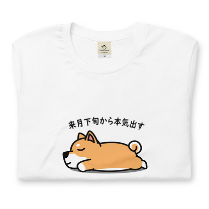 犬 tシャツ 犬イラスト  柴犬 来月下旬から本気出す ｜アダルト&キッズサイズ.