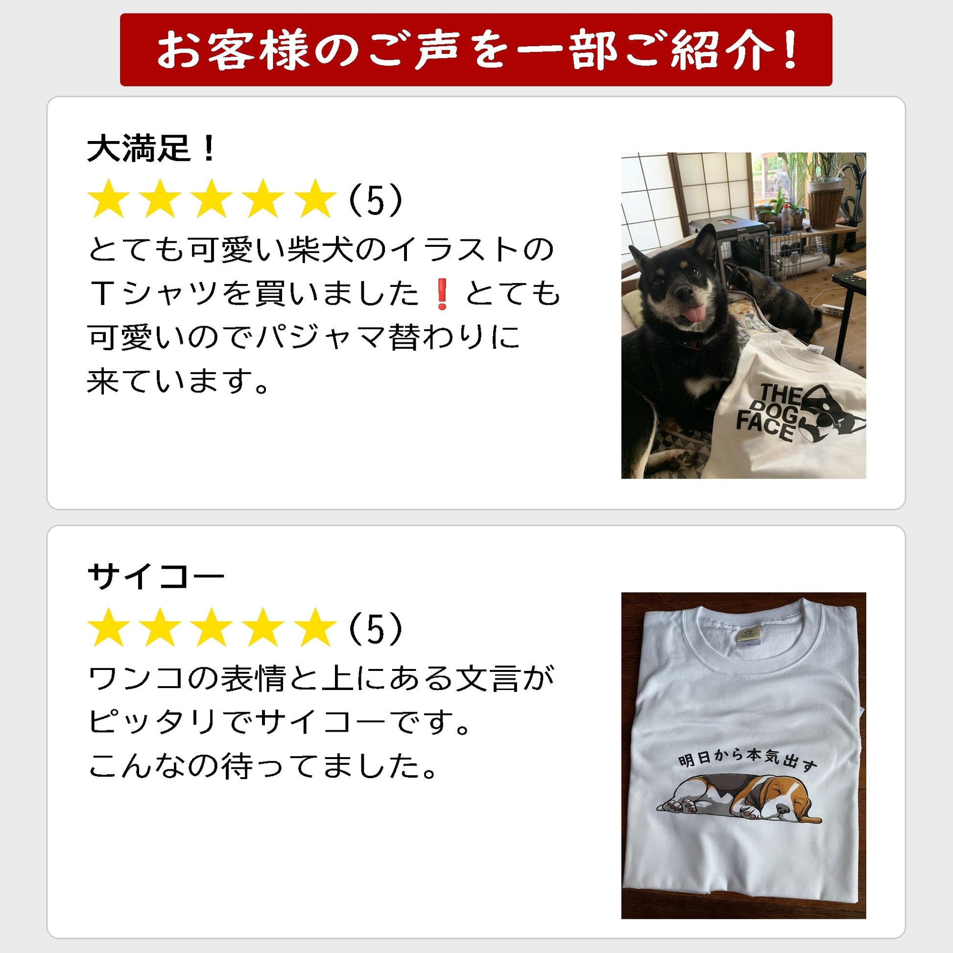 犬 tシャツ 犬イラスト 柴犬 明日から本気出す ｜アダルト&キッズサイズ.