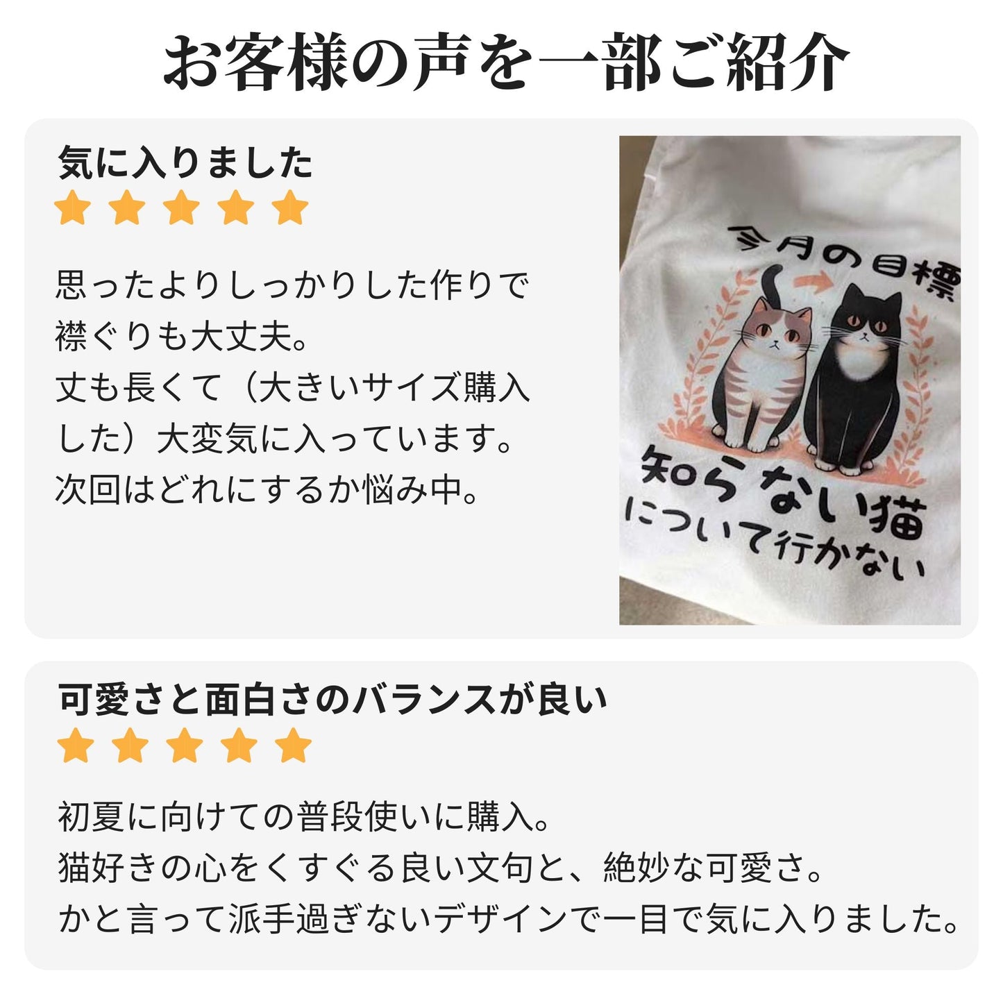 猫tシャツ ねこ 猫イラスト  今月の目標、知らない猫について行かない｜アダルト&キッズサイズ