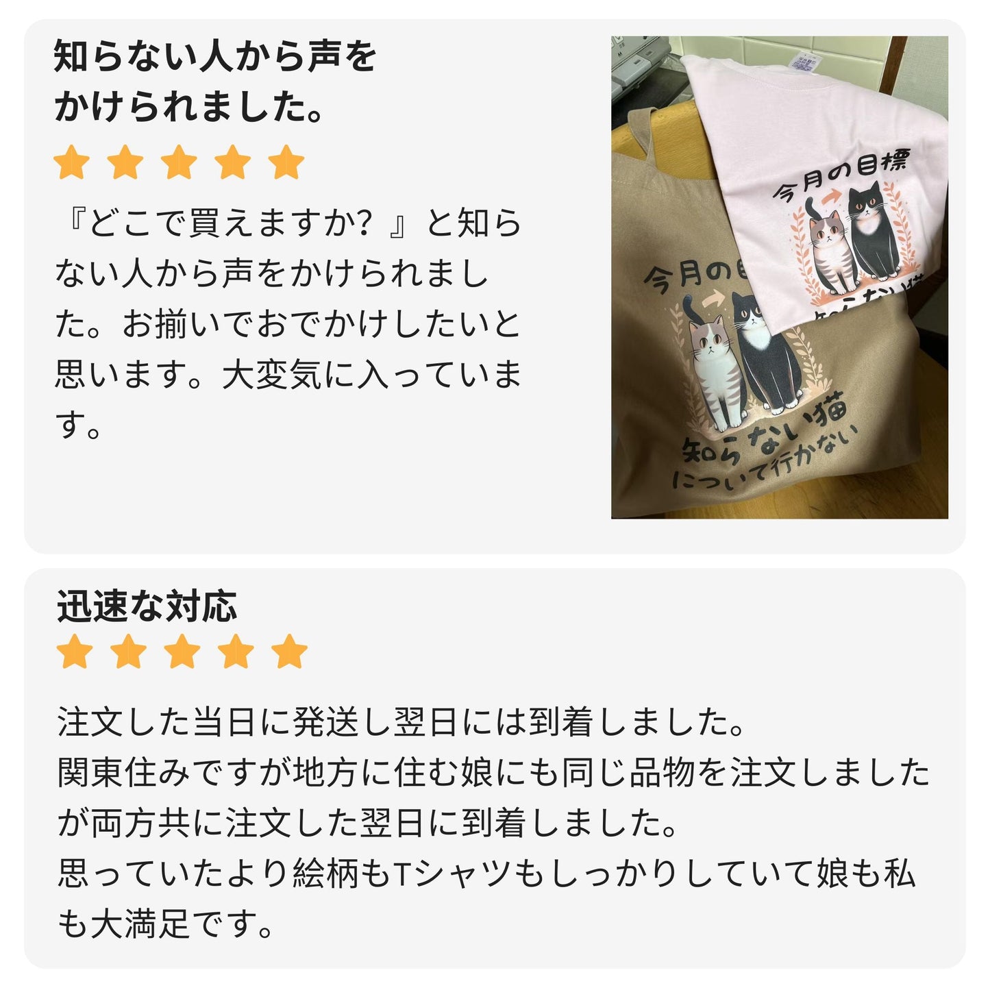 猫tシャツ ねこ 猫イラスト  今月の目標、知らない猫について行かない｜アダルト&キッズサイズ