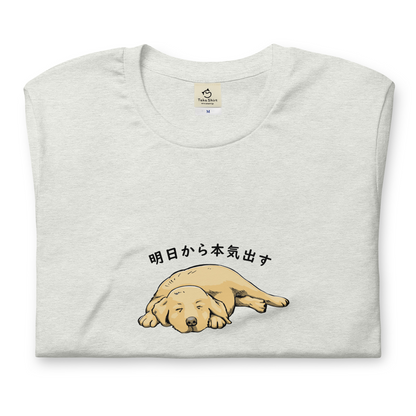 犬 tシャツ 犬イラスト ゴールデンレトリバー犬 明日から本気出す ｜アダルト&キッズサイズ.